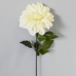 Jiřina umělá bílá - velkoobchod, dovoz květin, řezané květiny Brno