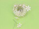 Květinky špendlík akryl S/24 krémová - velkoobchod, dovoz květin, řezané květiny Brno