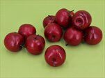 Jablka pvc 12ks 4,5cm červená - velkoobchod, dovoz květin, řezané květiny Brno