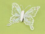 Motýl kolíček nylon bílá - velkoobchod, dovoz květin, řezané květiny Brno