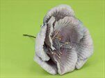 Květ latex zápich V20x10cm  fialová - velkoobchod, dovoz květin, řezané květiny Brno