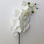 Orchidej umělá 102cm bílá - velkoobchod, dovoz květin, řezané květiny Brno