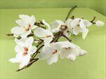 Magnolie umělá V113cm bílá - velkoobchod, dovoz květin, řezané květiny Brno