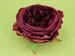 Růže Austin vazbová pr.10cm 6ks červená - velkoobchod, dovoz květin, řezané květiny Brno