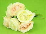 Růže kytice krém,meruňka - velkoobchod, dovoz květin, řezané květiny Brno