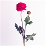 Ranunculus umělý x2/48cm tm.růžová - velkoobchod, dovoz květin, řezané květiny Brno