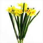 Narcis kytice umělá 62cm žlutá - velkoobchod, dovoz květin, řezané květiny Brno