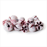 Dekorační sušené plody 180g růžová - velkoobchod, dovoz květin, řezané květiny Brno