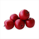 Jablka umělá 9ks/2,5cm červená - velkoobchod, dovoz květin, řezané květiny Brno
