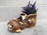 Ke obal bota s myškami - velkoobchod, dovoz květin, řezané květiny Brno