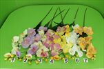 Uk orchidea  - velkoobchod, dovoz květin, řezané květiny Brno