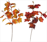 UK Javor větev 58cm podzim - velkoobchod, dovoz květin, řezané květiny Brno