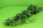 UK Ivy závěs 100cm zelený - velkoobchod, dovoz květin, řezané květiny Brno