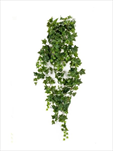 Uk Ivy závěs 180cm green - velkoobchod, dovoz květin, řezané květiny Brno