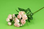 Uk Růže mini 57cm růžová - velkoobchod, dovoz květin, řezané květiny Brno