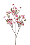 Uk Leptospermum růžové 84cm - velkoobchod, dovoz květin, řezané květiny Brno