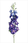 Uk Delphinium 95cm tmavě modré - velkoobchod, dovoz květin, řezané květiny Brno