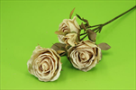 Uk růže trsová suchý vzhled 52cm - velkoobchod, dovoz květin, řezané květiny Brno