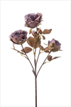 Uk růže trsová suchý vzhled 52cm fialová - velkoobchod, dovoz květin, řezané květiny Brno