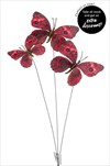 Uk motýlci X3/60cm červená - velkoobchod, dovoz květin, řezané květiny Brno