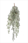 Uk závěs borovice zasněžený 80cm - velkoobchod, dovoz květin, řezané květiny Brno