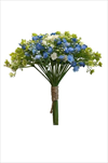 Uk Gypsophila zelená/modrá/krémová - velkoobchod, dovoz květin, řezané květiny Brno