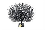 Strom Coral 50cmx9x45cm černý - velkoobchod, dovoz květin, řezané květiny Brno