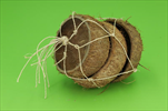 Miska Basic coconut half 3pcs/10-14cm natur - velkoobchod, dovoz květin, řezané květiny Brno