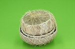 Miska Basic coconut half 3pcs/10-14cm - velkoobchod, dovoz květin, řezané květiny Brno