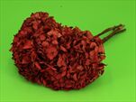 Hydrangea Stabilizovaná Červená 5ks - velkoobchod, dovoz květin, řezané květiny Brno