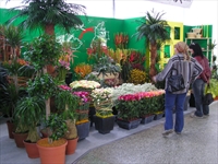 Foto z akce Flora Olomouc 2004