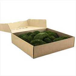 Stabilizovaný Ball moss 0,16 m2 nature green - velkoobchod, dovoz květin, řezané květiny Brno