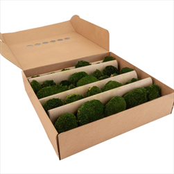 Stabilizovaný Mini Ball moss 0,16 m2 nature green - velkoobchod, dovoz květin, řezané květiny Brno