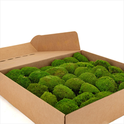 Stabilizovaný Mini Ball moss 0,16 m2 light green - velkoobchod, dovoz květin, řezané květiny Brno