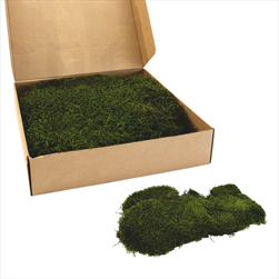 Stabilizovaný Long moss 0,33 m2 nature green - velkoobchod, dovoz květin, řezané květiny Brno