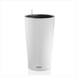 V OBAL CILINDRO/32 WHITE KOMPLET - velkoobchod, dovoz květin, řezané květiny Brno