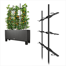 V TRELÁŽ TRIO COTTAGE ANTRACIT - velkoobchod, dovoz květin, řezané květiny Brno