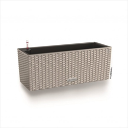 V OBAL BALCONERA/50 COTTAGE PÍSKOVĚ HNĚDÁ - velkoobchod, dovoz květin, řezané květiny Brno