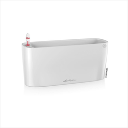 V OBAL DELTA/10 BÍLÁ - velkoobchod, dovoz květin, řezané květiny Brno