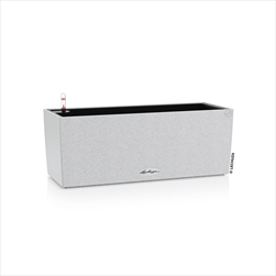 V OBAL BALCONERA/50 STONE BÍLÁ - velkoobchod, dovoz květin, řezané květiny Brno