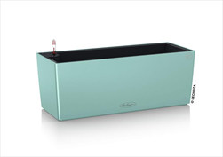 V OBAL BALCONERA/50 COLOR PASTEL GREEN - velkoobchod, dovoz květin, řezané květiny Brno