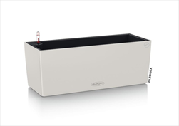 V OBAL BALCONERA/50 COLOR LIGHT GREY - velkoobchod, dovoz květin, řezané květiny Brno