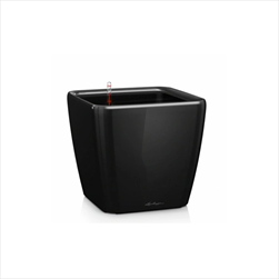 V OBAL QUADRO/28 LS BLACK - velkoobchod, dovoz květin, řezané květiny Brno