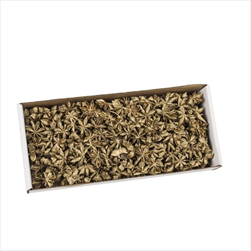 SU Badyán Zlatý 0,37kg - velkoobchod, dovoz květin, řezané květiny Brno