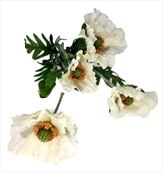 UK Vlčí Mák bílý 40cm - velkoobchod, dovoz květin, řezané květiny Brno