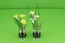 Uk Narcis závěs/sklo 18cm - velkoobchod, dovoz květin, řezané květiny Brno