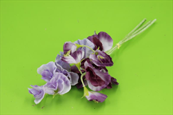 Uk Sweert pea X3/30cm lavender - velkoobchod, dovoz květin, řezané květiny Brno