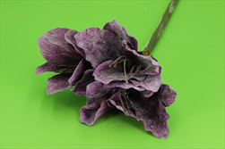 Uk Amarylis glitr 49cm tmavě fialový - velkoobchod, dovoz květin, řezané květiny Brno