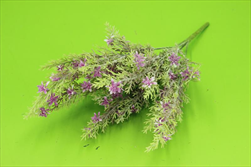 Uk květy svazek 32cm fuchsia - velkoobchod, dovoz květin, řezané květiny Brno