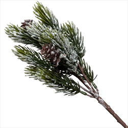 Uk větvička borovice 38cm šiška - velkoobchod, dovoz květin, řezané květiny Brno